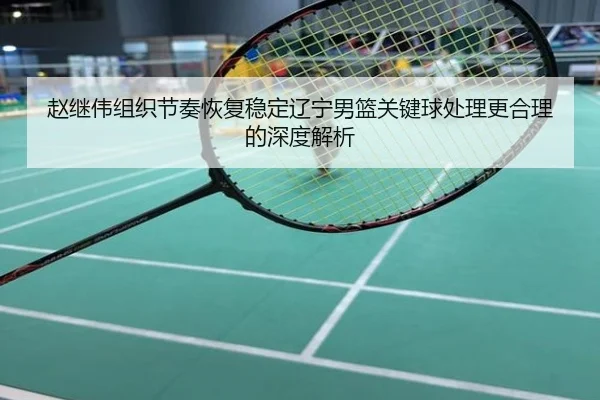 赵继伟组织节奏恢复稳定辽宁男篮关键球处理更合理的深度解析
