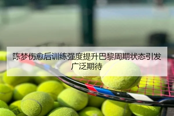 陈梦伤愈后训练强度提升巴黎周期状态引发广泛期待