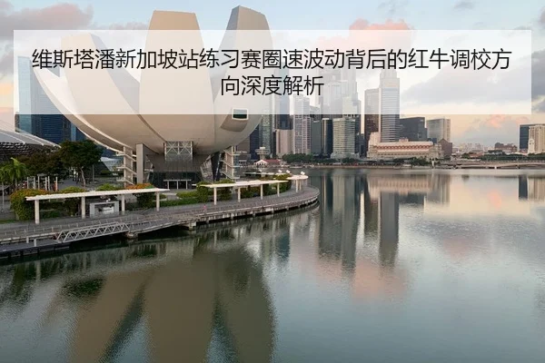 维斯塔潘新加坡站练习赛圈速波动背后的红牛调校方向深度解析